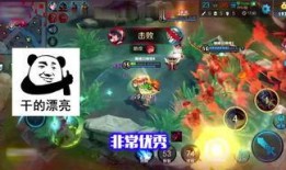 大侠王者爆料视频,揭秘游戏幕后精彩瞬间