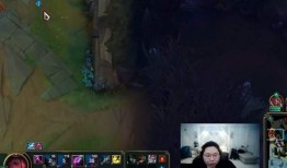 内鬼爆料散兵卡牌视频播放,散兵卡牌视频播放背后的惊人真相